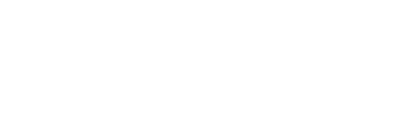 Adepa Smart Store